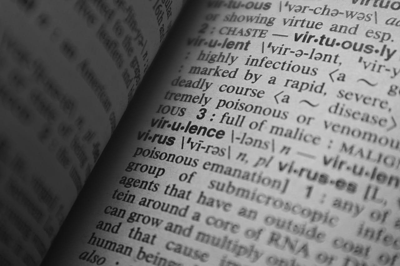 Página de diccionario con definiciones en inglés.